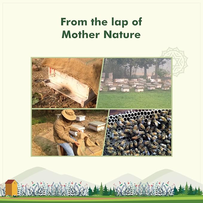 Jivika Naturals Forest Honey